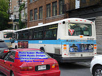 STM-11037-073108-04.jpg