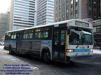 STM-11068-012009-02.jpg