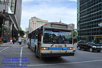 STM-11068-071509-02a.jpg