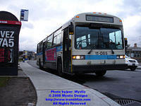 STM-11085-111008-03.jpg