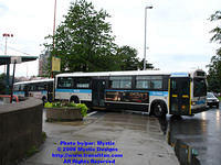 STM-12005-073108-04.jpg