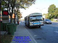 STM-12007-092408-01.jpg