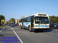 STM-12008-092408-01.jpg