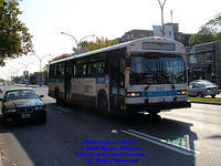 STM-12017-092408-01.jpg