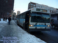 STM-12019-010509-01.jpg
