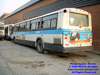 STM-12048-070806-03