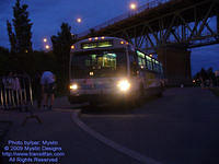 STM-12053-070409-01.jpg