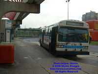 STM-12063-071308-03.jpg