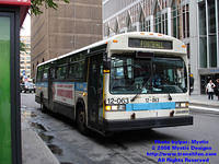 STM-12063-073108-03.jpg