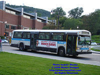 STM-12063-073108-05.jpg