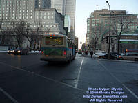 STM-12065-010509-02.jpg