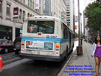 STM-12067-073108-01.jpg