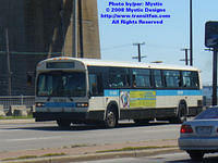 STM-12082-052508-03.jpg