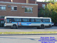 STM-12100-092408-01.jpg