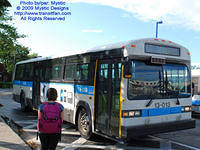 STM-13013-080609-03.jpg