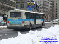 STM-13015-031308-02.jpg