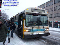 STM-13062-010209-02.jpg