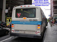 STM-13065-073108-04.jpg