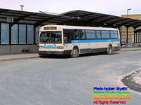 STM-13070-030806-01.jpg