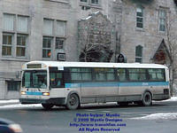STM-13071-010509-01.jpg
