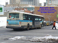 STM-13072-031308-01.jpg
