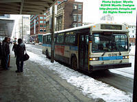 STM-13076-010606-01.jpg