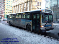 STM-13076-012409-01.jpg
