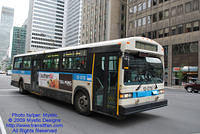 STM-13076-071509-01.jpg