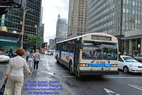 STM-13088-070809-01.jpg