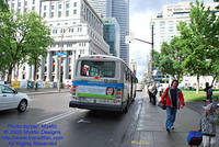 STM-13088-070809-02.jpg