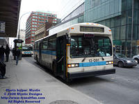 STM-13091-021609-01.jpg