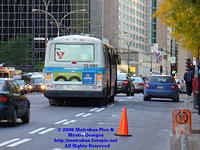 STM-13091-100606-01.jpg