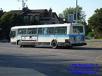 STM-13098-062907-01.jpg