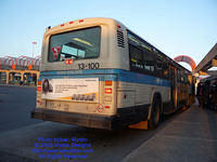STM-13100-112309-03.jpg