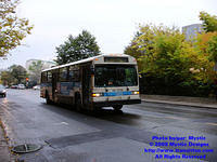 STM-14026-101308-02.jpg