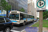 STM-14030-070809-01.jpg