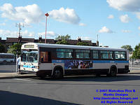 STM-14062-062007-01.jpg