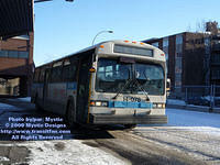 STM-14078-010509-01.jpg