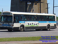 STM-14081-052508-01.jpg