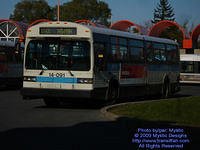 STM-14091-101909-01.jpg