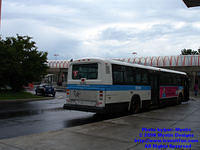 STM-14092-073108-02.jpg