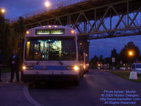 STM-14110-070409-01.jpg