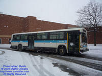 STM-14126-010209-02.jpg