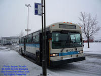 STM-14126-010209-05.jpg