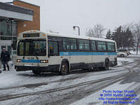 STM-14126-010209-07.jpg