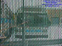 STM-14150-031807-01.jpg