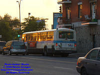 STM-14158-092408-01.jpg