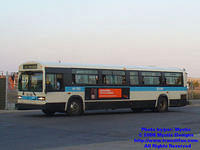 STM-14158-092408-03.jpg