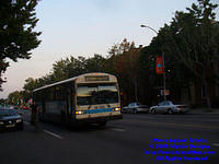 STM-14159-092408-01.jpg
