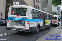 STM-14160-070809-05.jpg